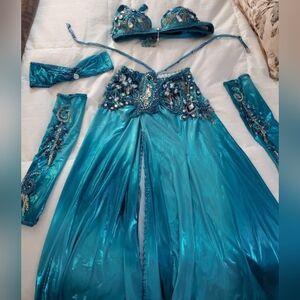 Professional Belly Dance Costume
